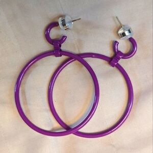 Melania Clara NWT Charlotte Earrings